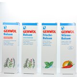 GEHWOL SparSET - Med. Set Balsam Complete XXL