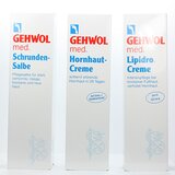 GEHWOL SparSET - Med. Set Schrunden und Hornhaut  XL